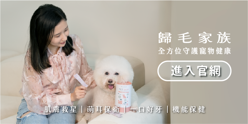 歸毛家族形象主視覺