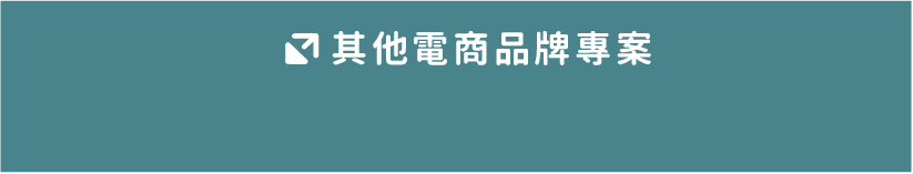 其他電商品牌專案